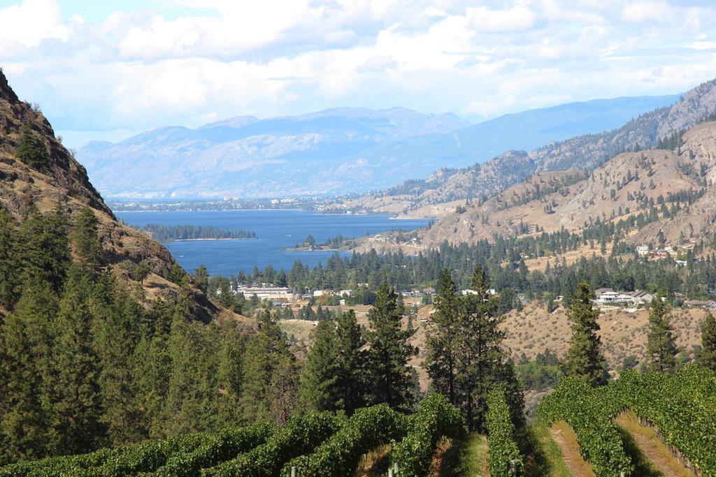 Hotel Sunshine And Wine Loft Penticton Esterno foto